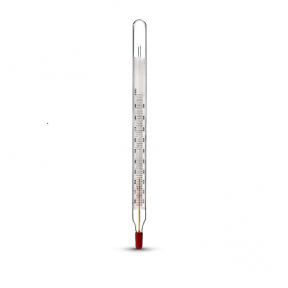 Stiklinis termometras TS-10 su apsauga (nuo -30°C iki +100°C) (Ukraina)